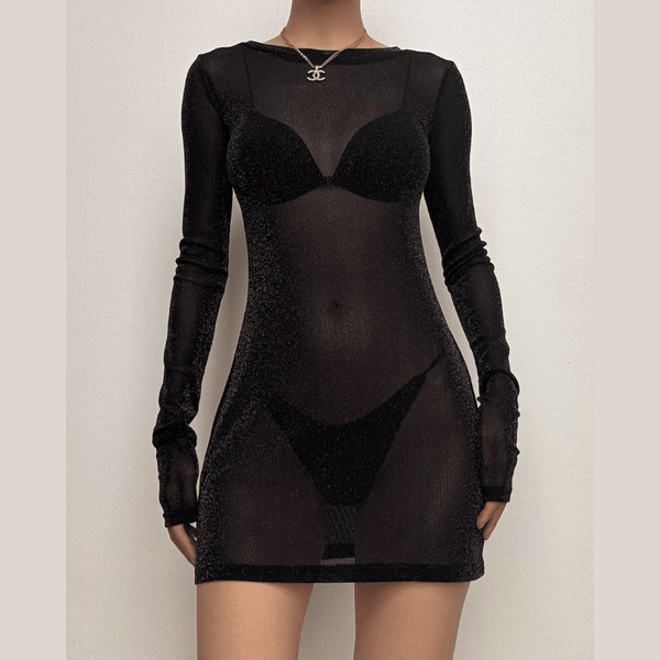 Long sleeve sheer mesh glitter mini dress  | samba dress