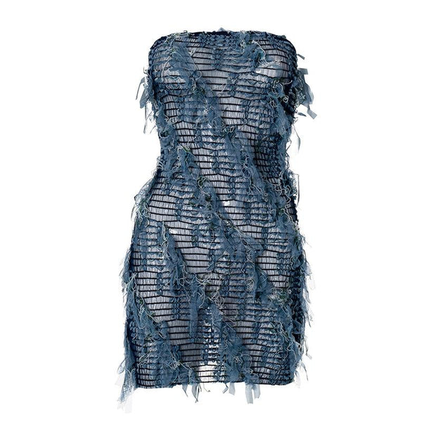 Sheer mesh textured stitch tube mini dress  | samba dress