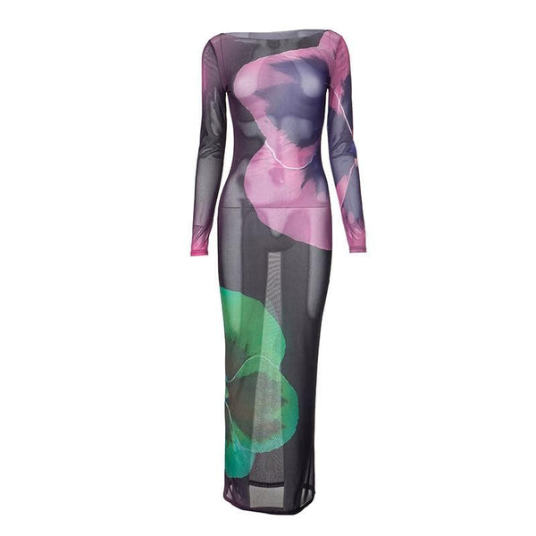 Long sleeve sheer mesh print crewneck maxi dress  | samba dress