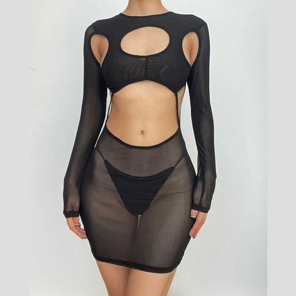 Long sleeve hollow out sheer mesh see through mini dress  | samba dress